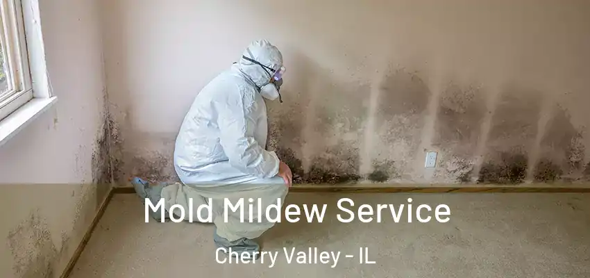  Mold Mildew Service Cherry Valley - IL