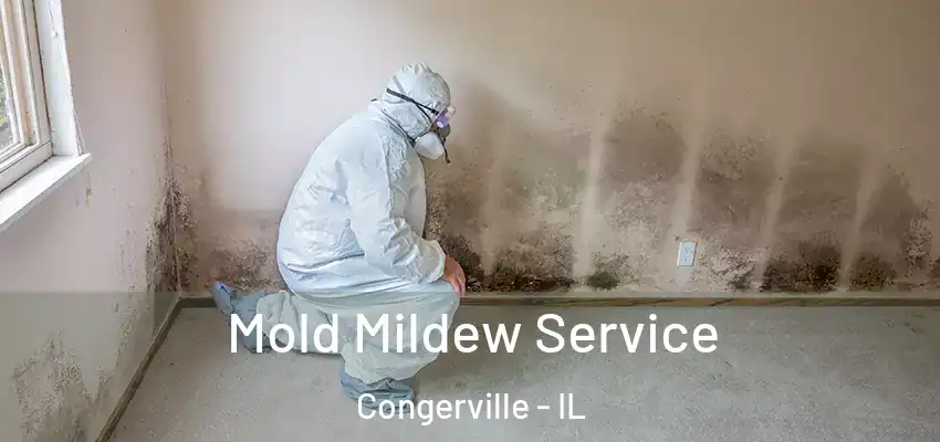  Mold Mildew Service Congerville - IL