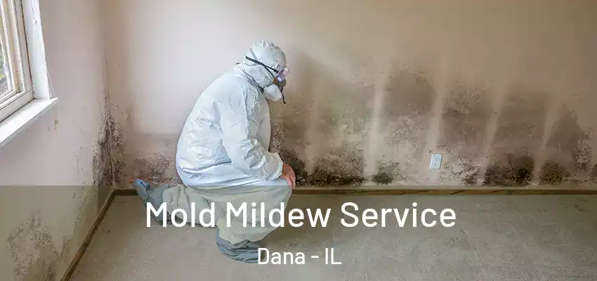  Mold Mildew Service Dana - IL
