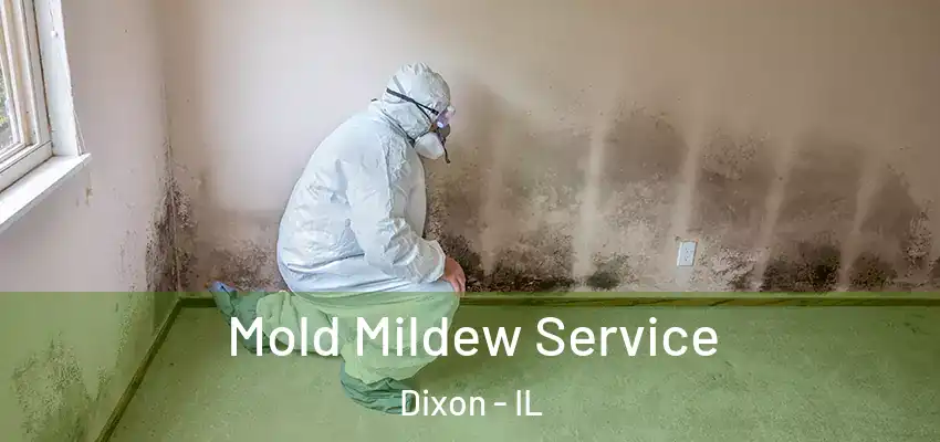  Mold Mildew Service Dixon - IL