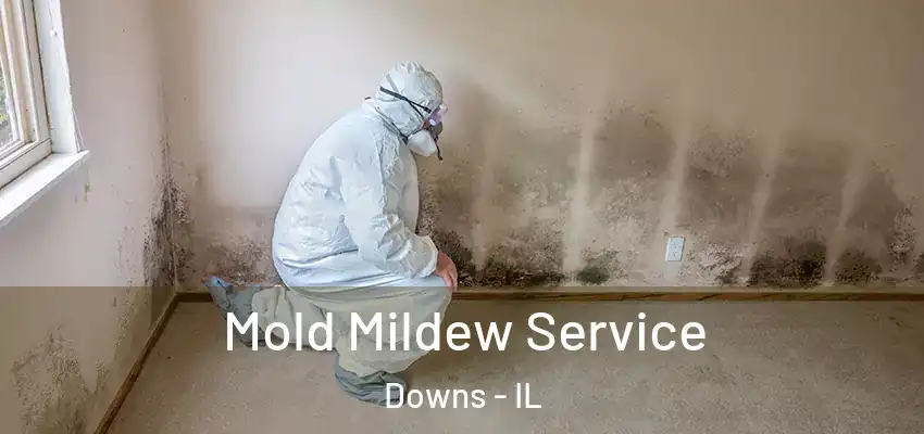  Mold Mildew Service Downs - IL
