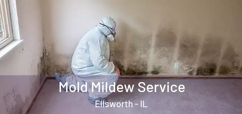  Mold Mildew Service Ellsworth - IL
