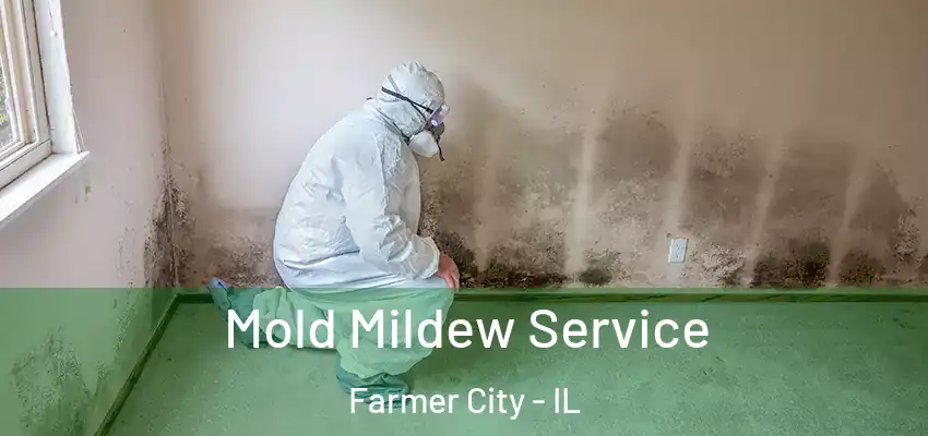  Mold Mildew Service Farmer City - IL