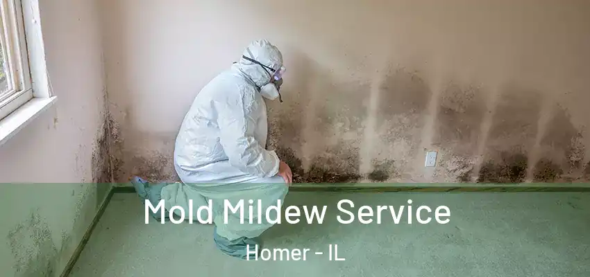  Mold Mildew Service Homer - IL