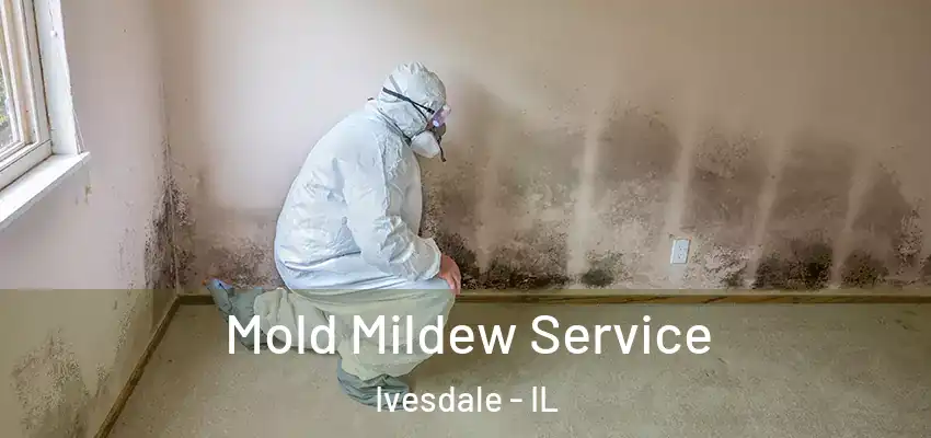  Mold Mildew Service Ivesdale - IL