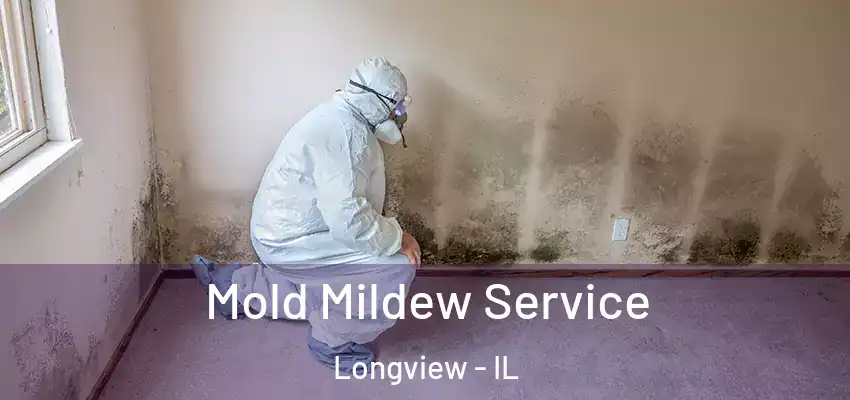 Mold Mildew Service Longview - IL