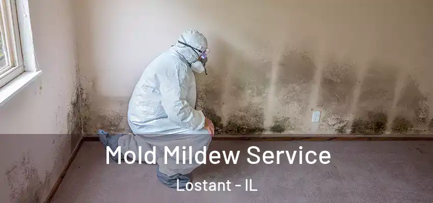 Mold Mildew Service Lostant - IL