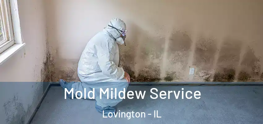  Mold Mildew Service Lovington - IL
