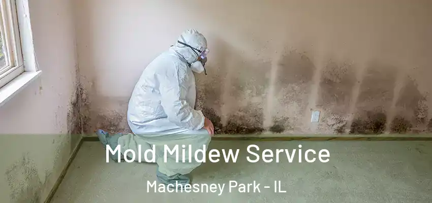  Mold Mildew Service Machesney Park - IL