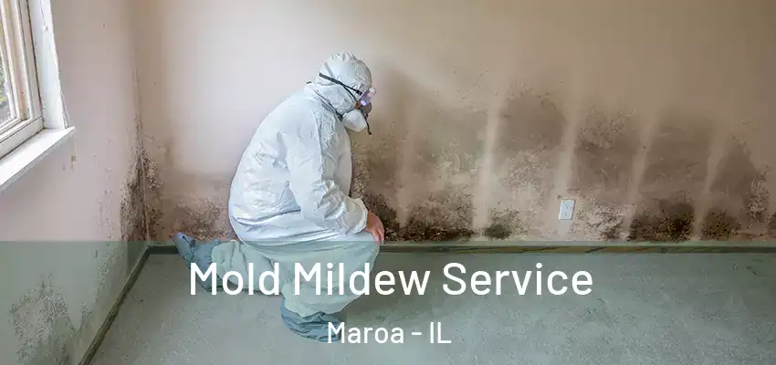  Mold Mildew Service Maroa - IL