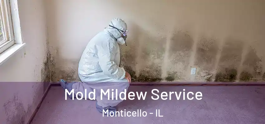  Mold Mildew Service Monticello - IL
