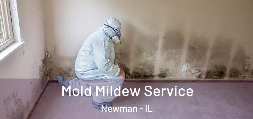  Mold Mildew Service Newman - IL