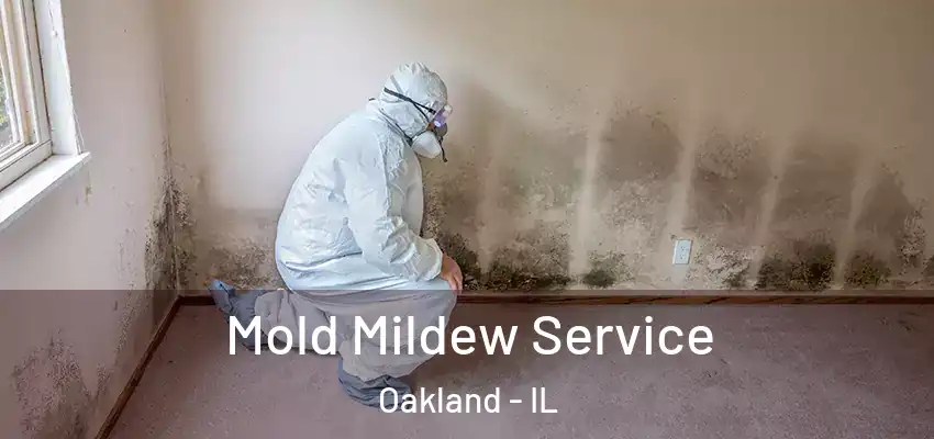  Mold Mildew Service Oakland - IL