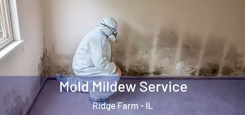  Mold Mildew Service Ridge Farm - IL