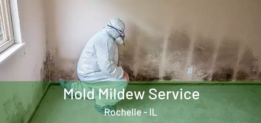  Mold Mildew Service Rochelle - IL