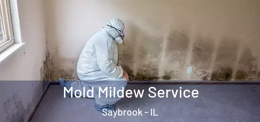  Mold Mildew Service Saybrook - IL