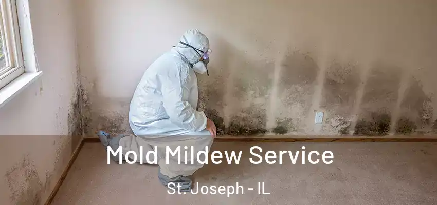  Mold Mildew Service St. Joseph - IL