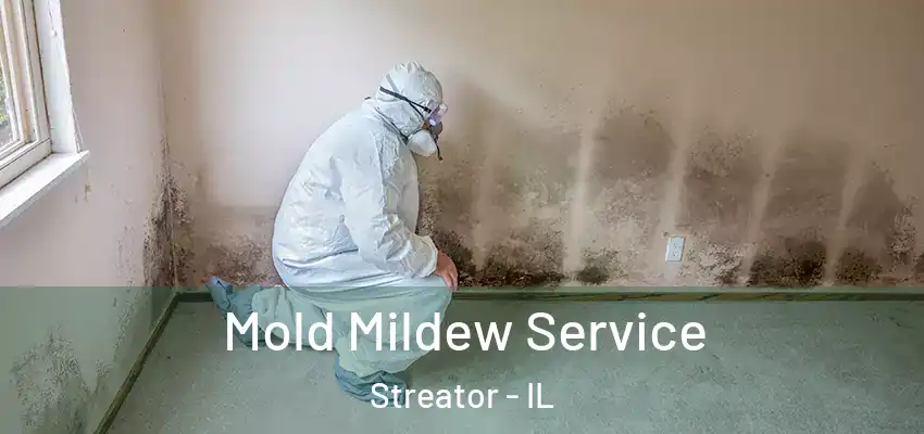  Mold Mildew Service Streator - IL