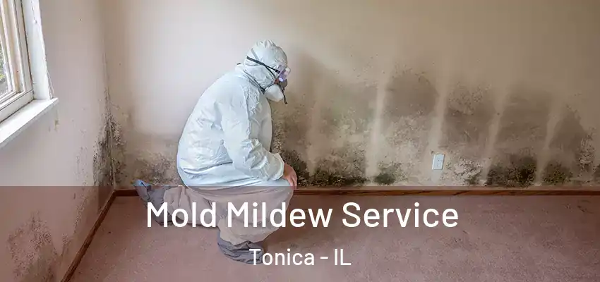  Mold Mildew Service Tonica - IL