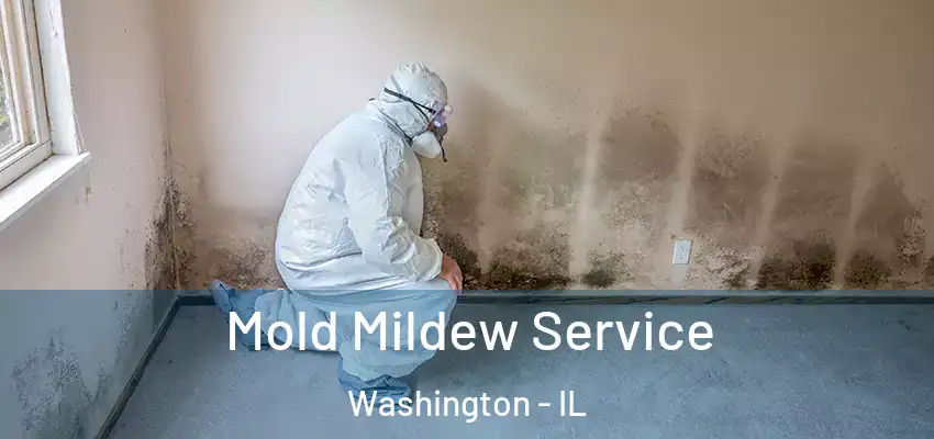  Mold Mildew Service Washington - IL