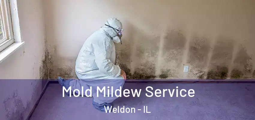  Mold Mildew Service Weldon - IL