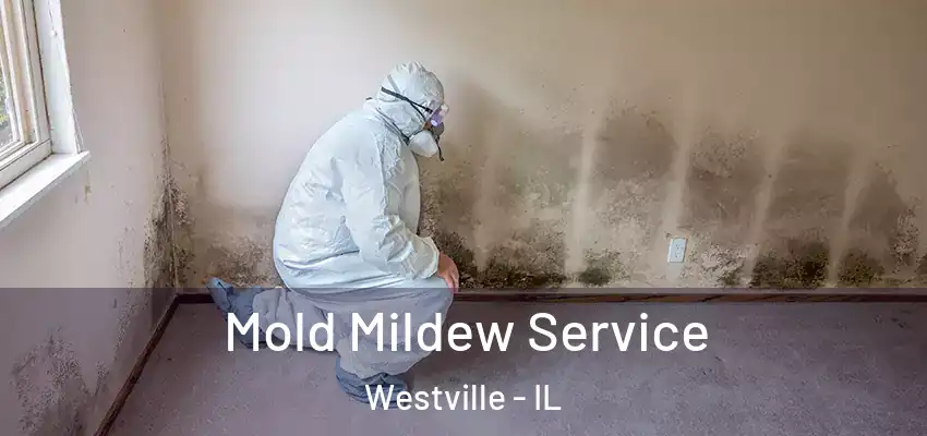  Mold Mildew Service Westville - IL