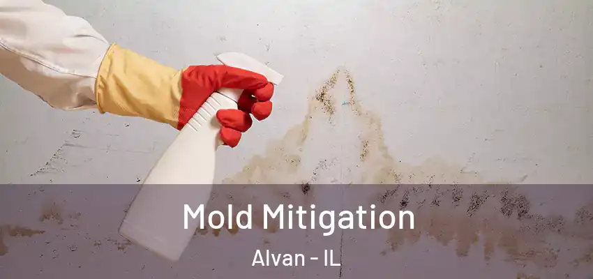  Mold Mitigation Alvan - IL