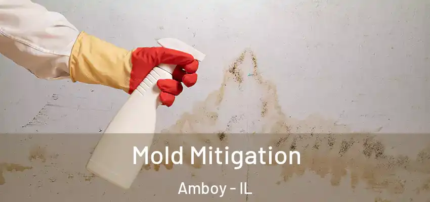  Mold Mitigation Amboy - IL
