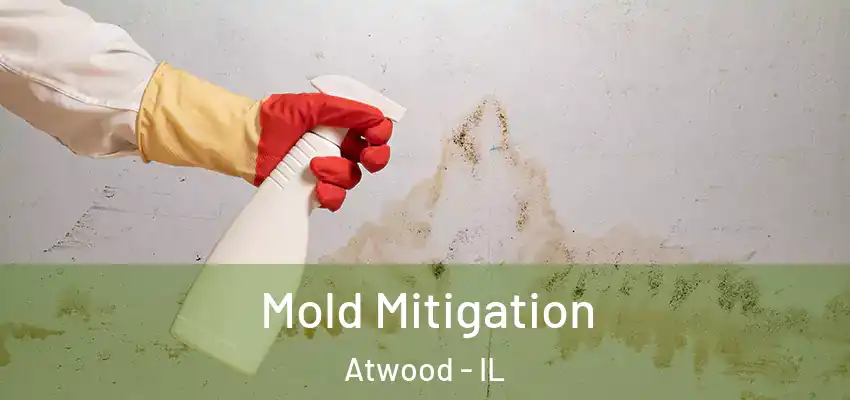  Mold Mitigation Atwood - IL