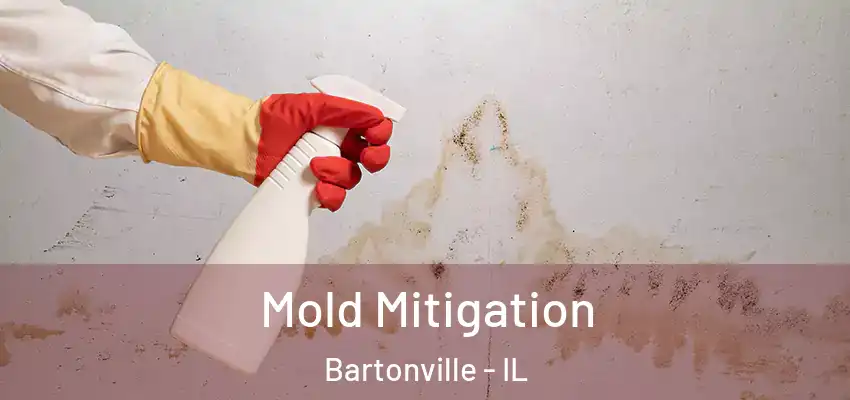  Mold Mitigation Bartonville - IL