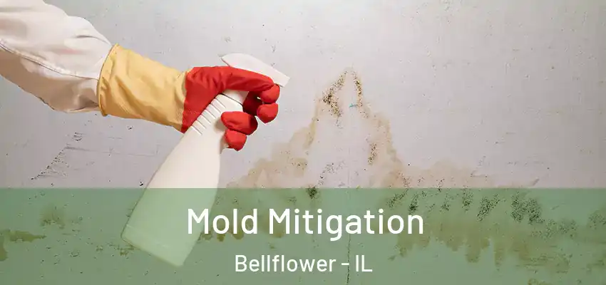  Mold Mitigation Bellflower - IL