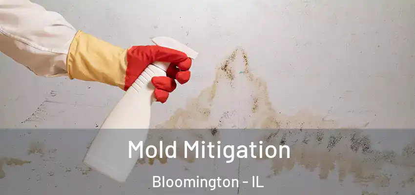  Mold Mitigation Bloomington - IL