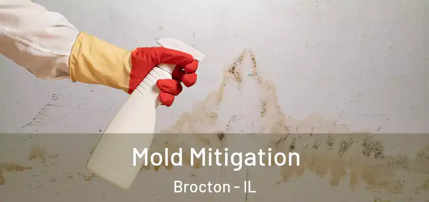  Mold Mitigation Brocton - IL