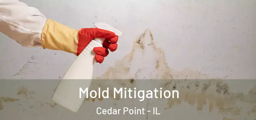  Mold Mitigation Cedar Point - IL