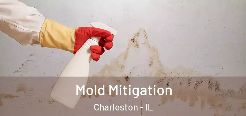  Mold Mitigation Charleston - IL