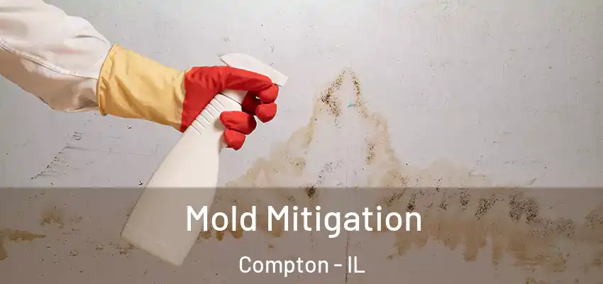  Mold Mitigation Compton - IL