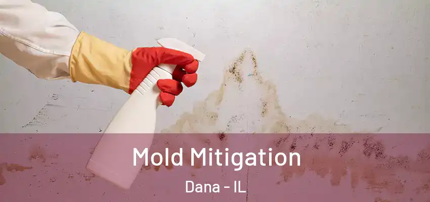  Mold Mitigation Dana - IL