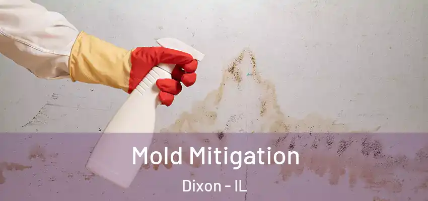  Mold Mitigation Dixon - IL