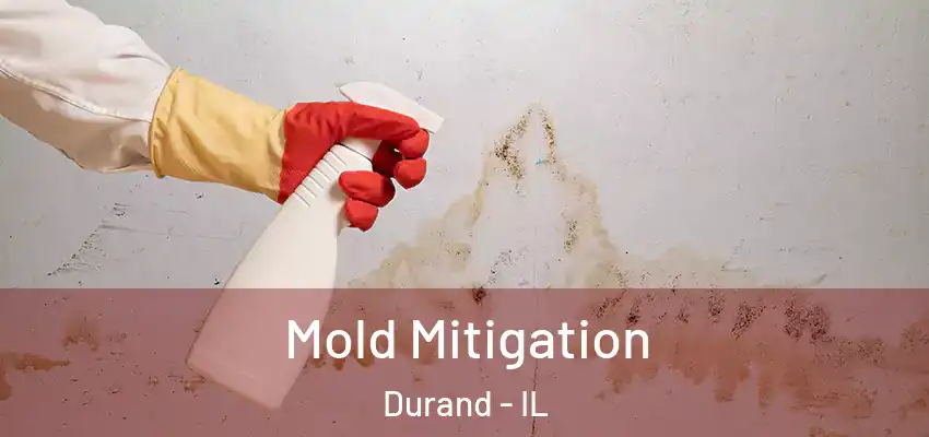  Mold Mitigation Durand - IL