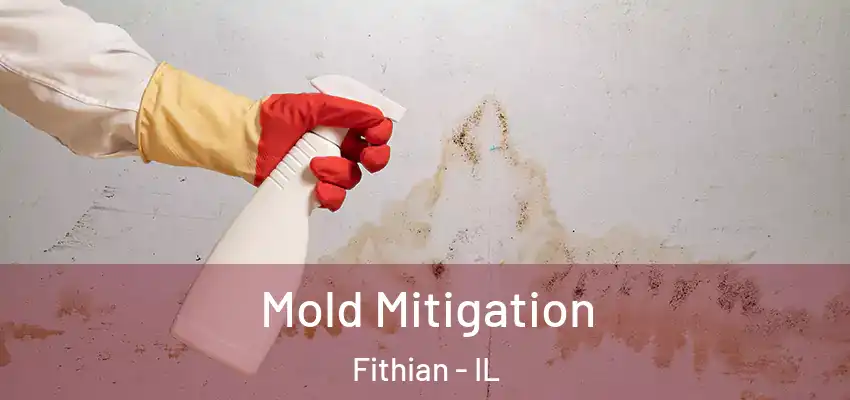 Mold Mitigation Fithian - IL