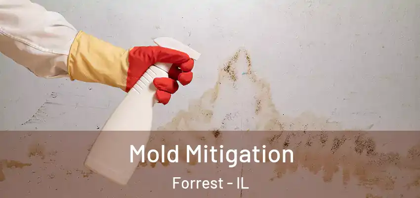  Mold Mitigation Forrest - IL