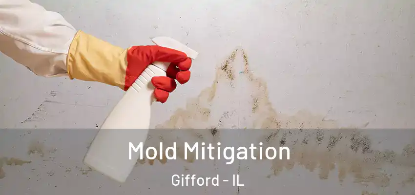 Mold Mitigation Gifford - IL