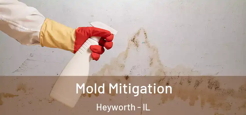  Mold Mitigation Heyworth - IL