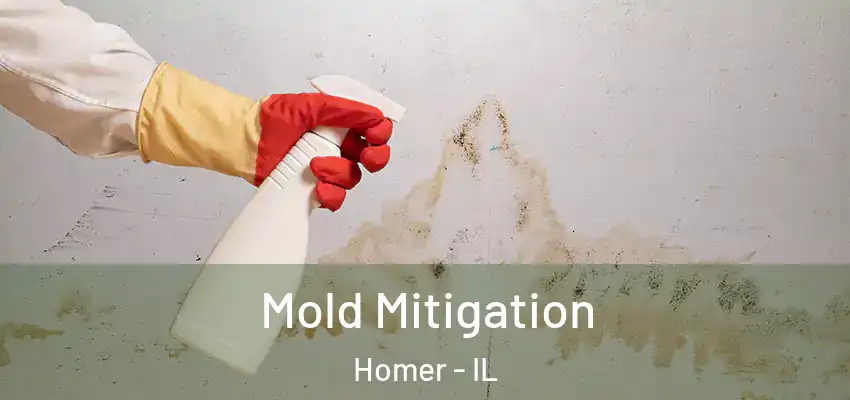  Mold Mitigation Homer - IL