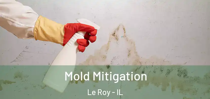  Mold Mitigation Le Roy - IL