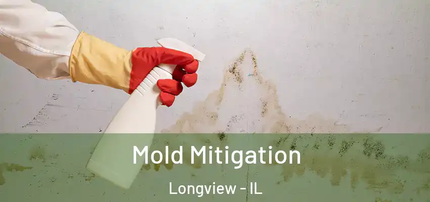  Mold Mitigation Longview - IL