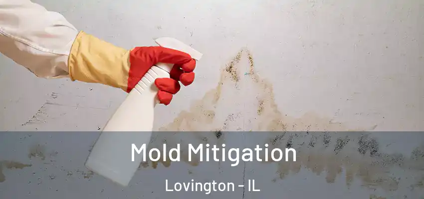  Mold Mitigation Lovington - IL