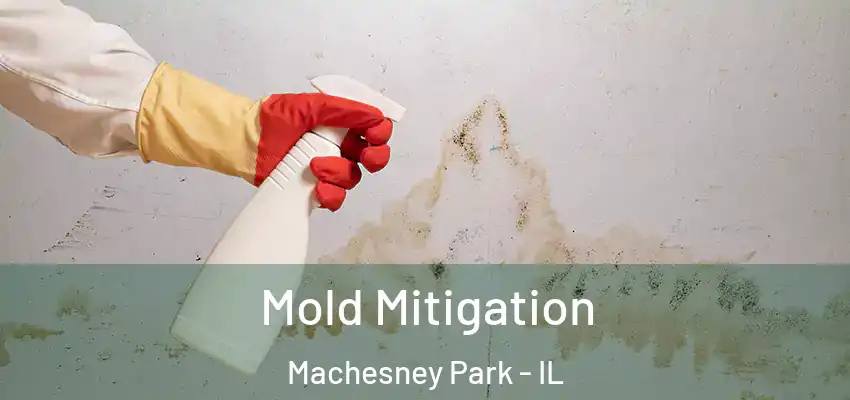  Mold Mitigation Machesney Park - IL