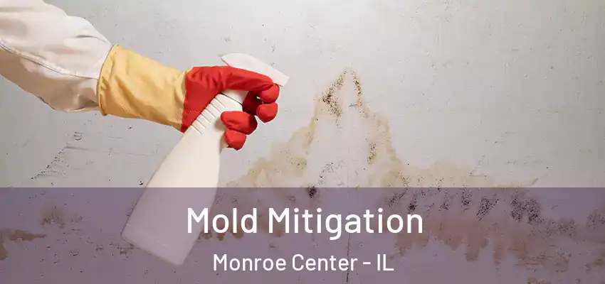  Mold Mitigation Monroe Center - IL