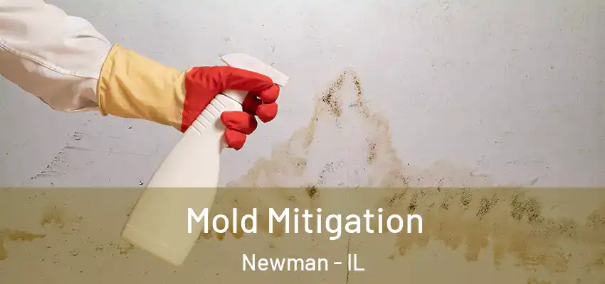  Mold Mitigation Newman - IL
